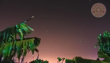 Finca_Gran_Canaria_venta_22.jpg