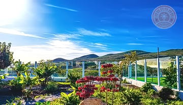 Finca_Gran_Canaria_venta_28.jpg