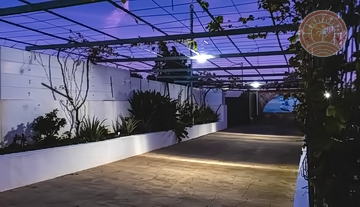 Finca_Gran_Canaria_venta_33.jpg