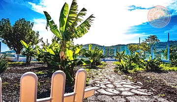 Finca_Gran_Canaria_venta_37.jpg