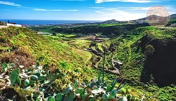 Finca_Gran_Canaria_venta_46.jpg